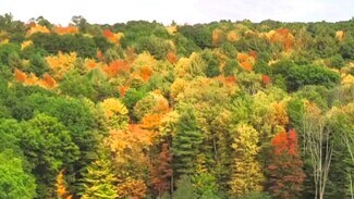 Plus de détails pour 225 Southwood dr, Vestal, NY - Terrain à vendre