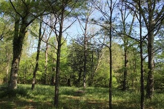 Plus de détails pour 0 County Road 489 Rd, Hanceville, AL - Terrain à vendre