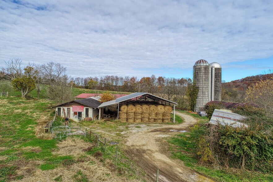 311 Ross Cemetery Rd, Rocky Top, TN à vendre - Photo de l’immeuble – Image 3 sur 51