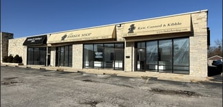 Plus de détails pour 1402-1408 W 55th St, Countryside, IL - Local commercial à louer