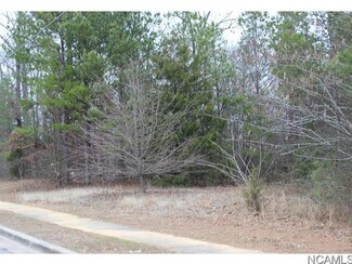 Plus de détails pour 00 Graham Street, Cullman, AL - Terrain à vendre