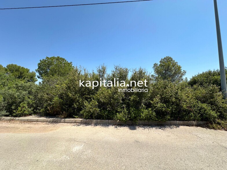 Terrain dans Alberic, Valencia à vendre - Photo principale – Image 1 sur 4