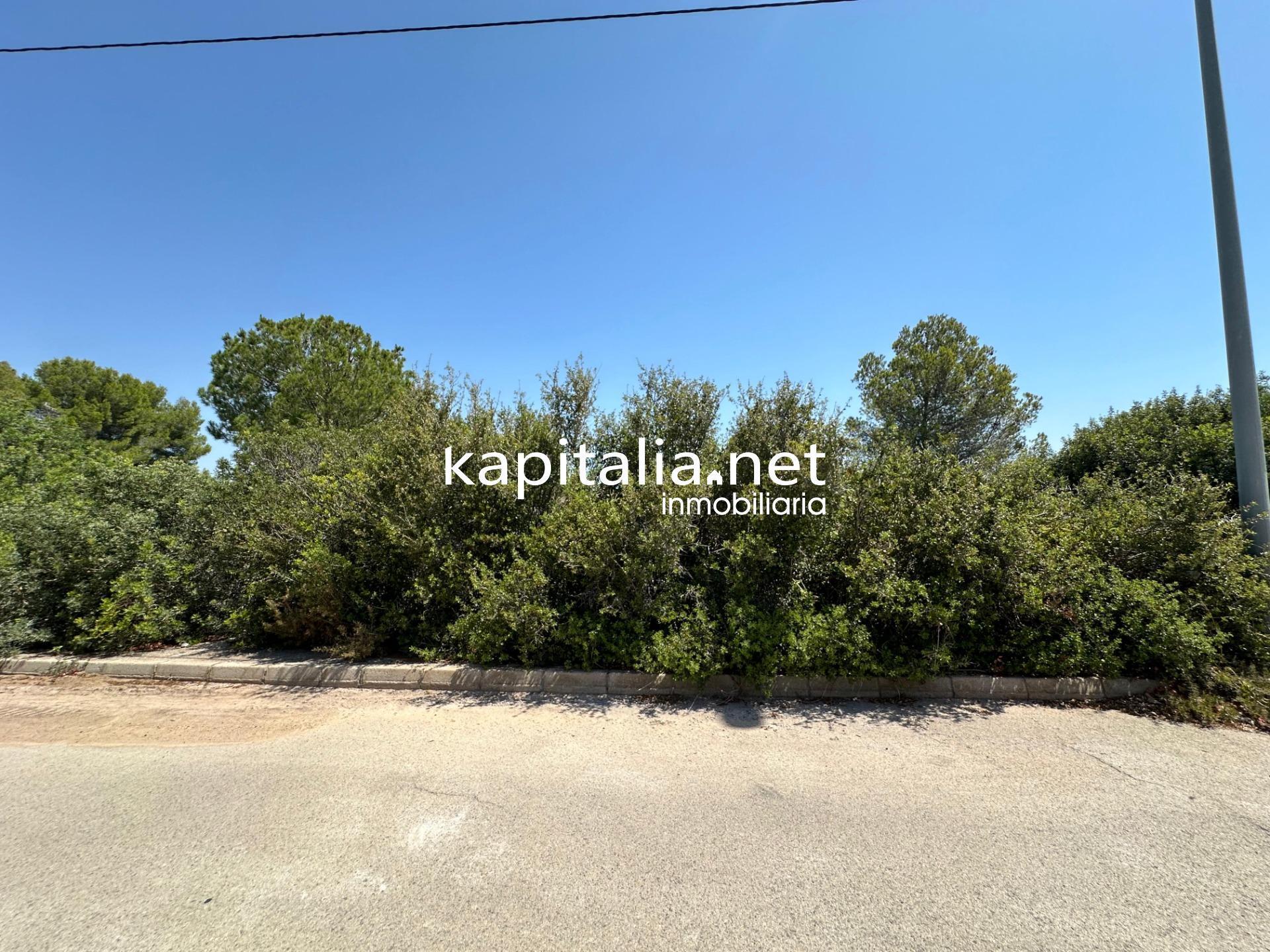 Terrain dans Alberic, Valencia à vendre Photo principale– Image 1 sur 5