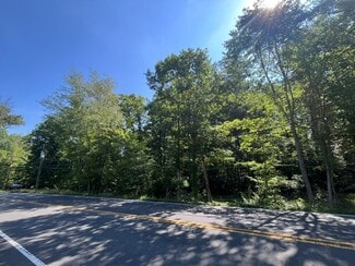 Plus de détails pour 792 Mountain View Rd, Falmouth, VA - Terrain à vendre