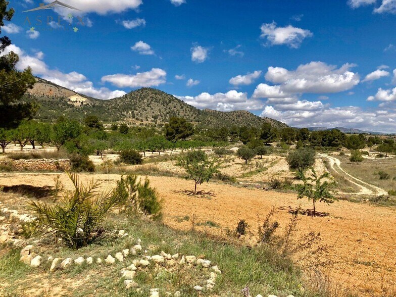 Terrain dans MONÒVER, Alicante à vendre - Aérien – Image 2 sur 6