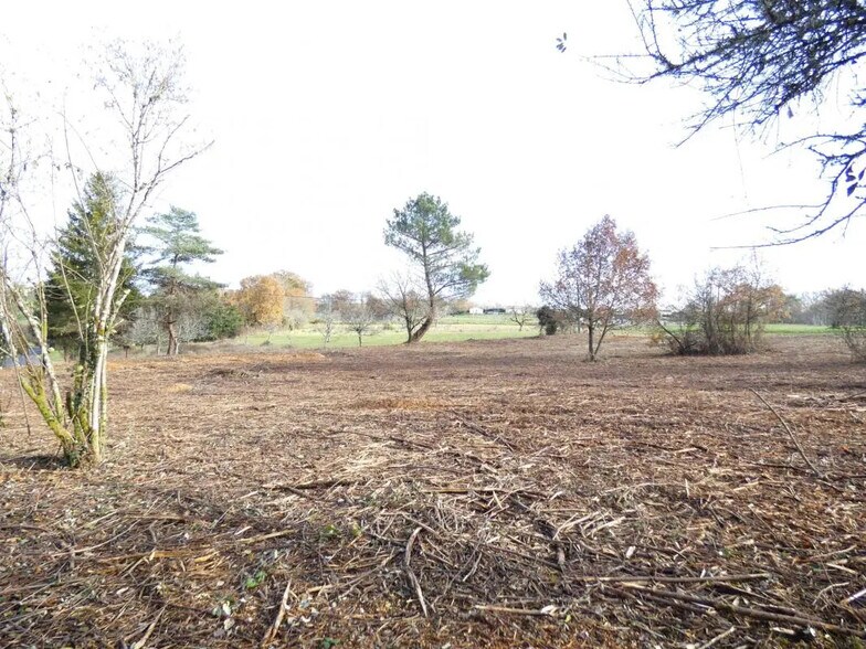 Terrain dans Limeyrat à vendre - Plan de site – Image 2 sur 4