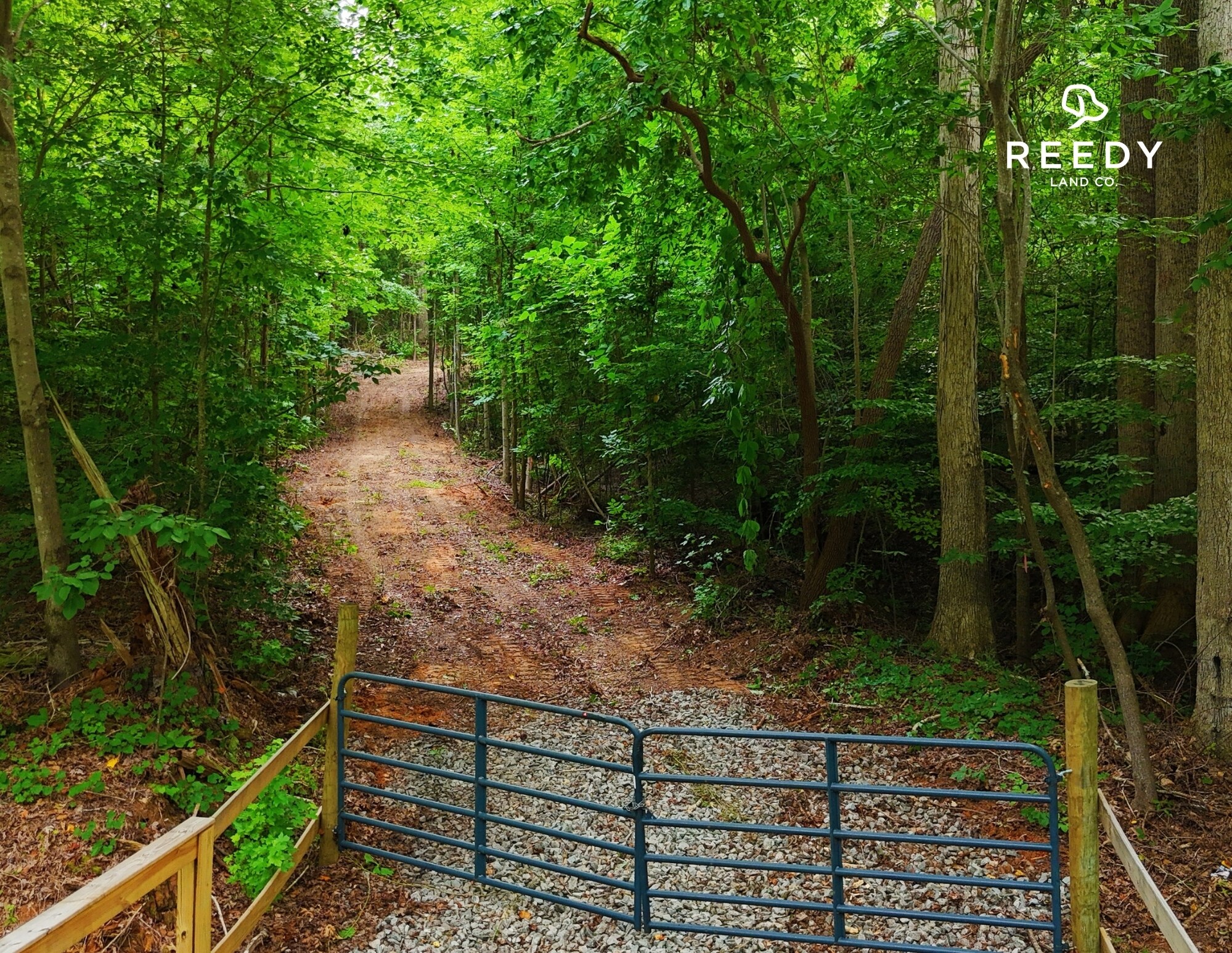 00 221 Highway South Hwy, Laurens, SC à vendre Photo principale– Image 1 sur 28