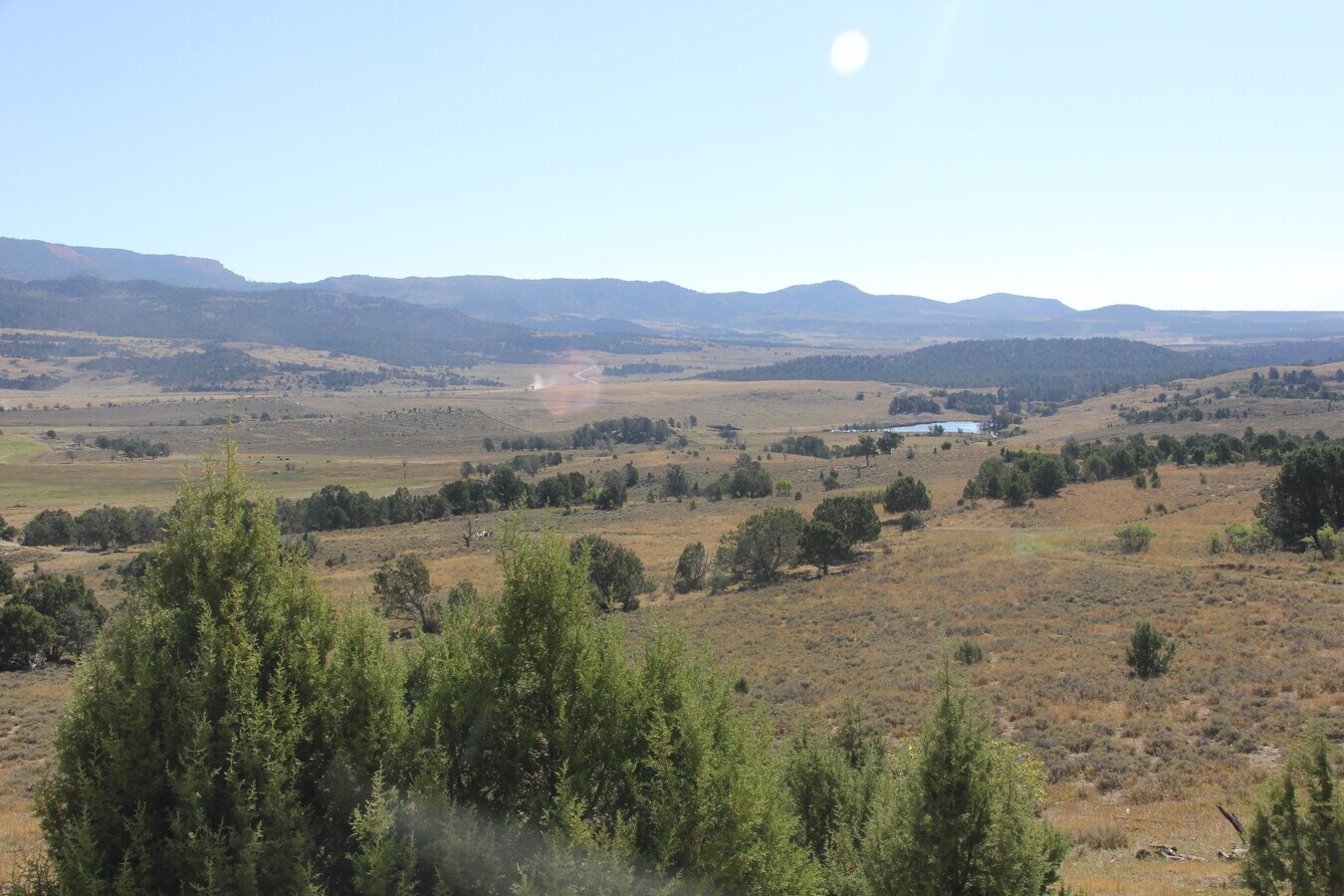 View Photo