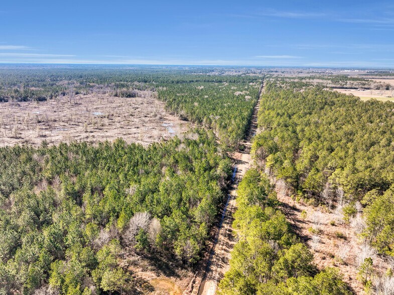 0000 Hwy105 Hwy, Sour Lake, TX à vendre - Aérien – Image 3 sur 21