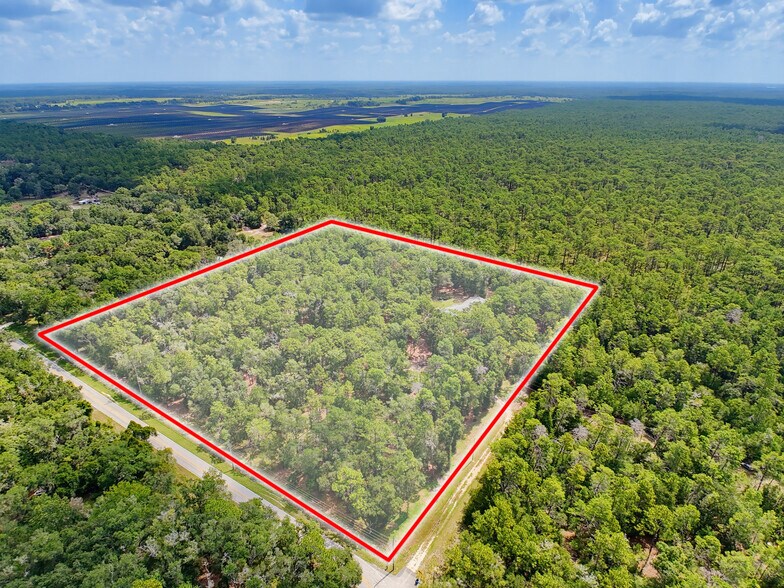 26311 Willow St, Brooksville, FL à vendre - Photo de l’immeuble – Image 3 sur 107