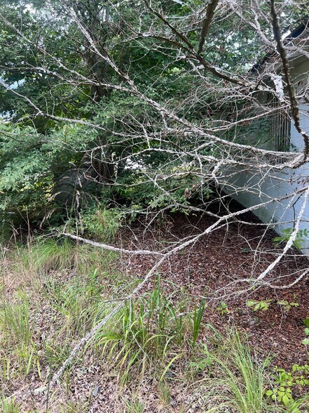16911 Boydton Plank Rd, Dewitt, VA à vendre - Photo de l’immeuble – Image 3 sur 10