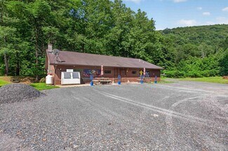 Plus de détails pour 13239 Rt 14, Ralston, PA - Local commercial à vendre