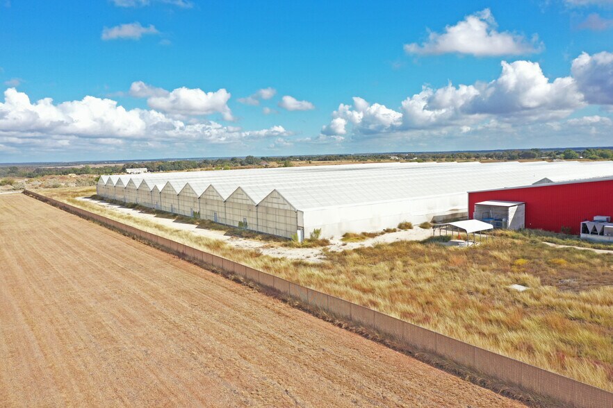 1205 Reed Dr, Lockhart, TX à louer - Photo de l’immeuble – Image 2 sur 27