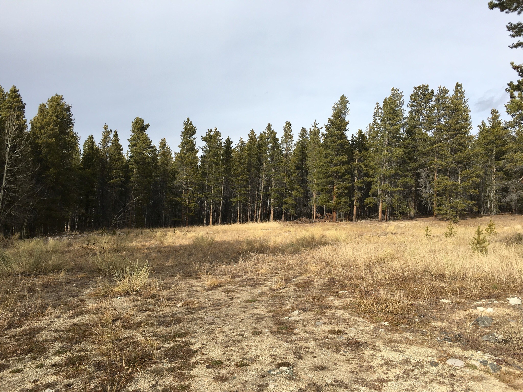 609 Mountain View Dr, Leadville, CO à vendre Photo de l’immeuble– Image 1 sur 6