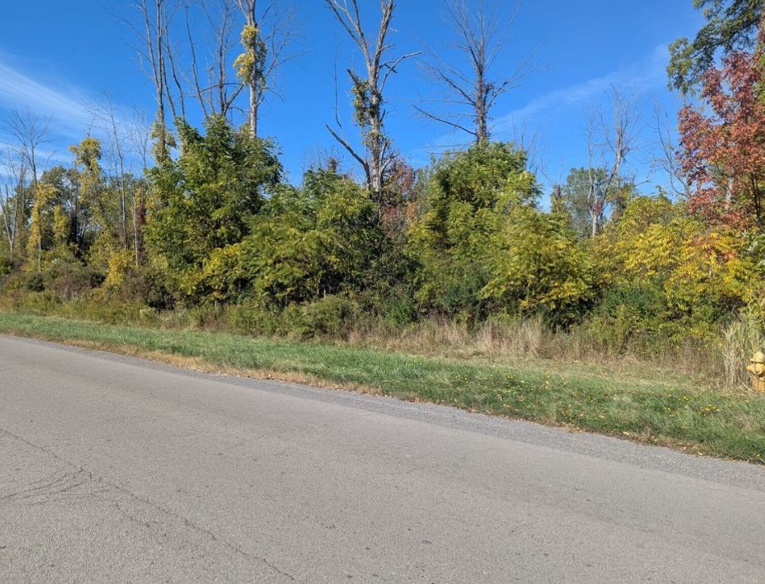 425 Timothy Ln, Ontario, NY à vendre Photo de l’immeuble– Image 1 sur 4