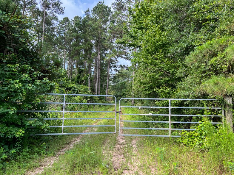 Farm to Market Road 1725, Willis, TX à vendre - Photo de l’immeuble – Image 3 sur 23