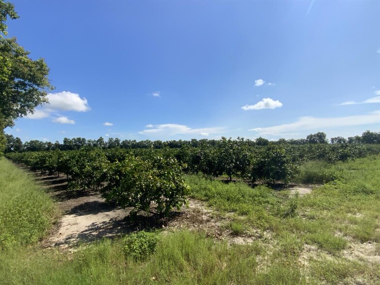 Orange Avenue Extension ave, Fort Pierce, FL à vendre - Autre – Image 2 sur 6