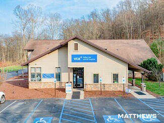 Plus de détails pour 853 Falcon Park Rd, New Kensington, PA - Local commercial à vendre