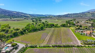 Plus de détails pour 3867 Silverado Trail N, Calistoga, CA - Terrain à vendre