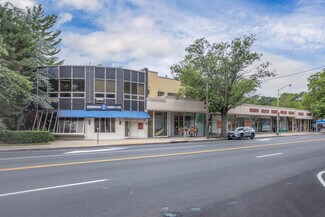 Plus de détails pour 132-150 Middle Neck Rd, Great Neck, NY - Bureau, Local commercial à louer