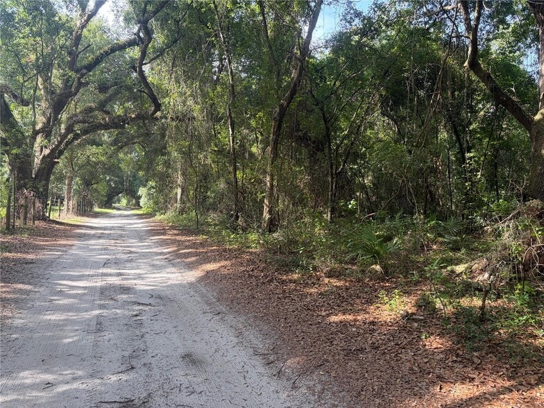 County Road 738, Webster, FL à vendre - Autre – Image 1 sur 2
