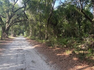 Plus de détails pour County Road 738, Webster, FL - Terrain à vendre