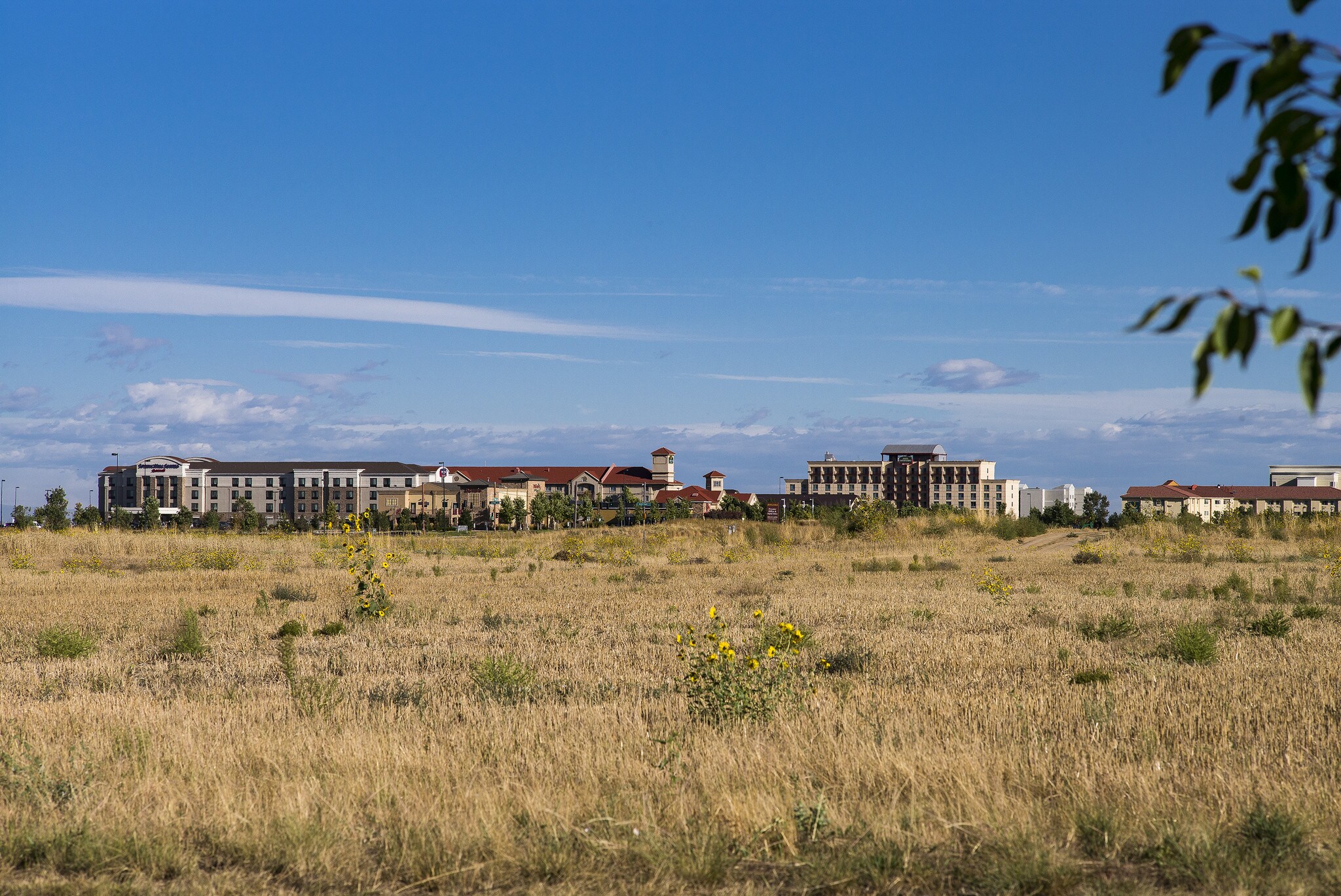 Pena Station - 66th St & Tower Road, Denver, CO à vendre Photo principale– Image 1 sur 2