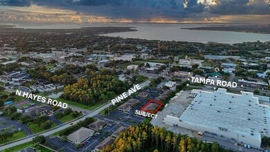 180 Pine Ave N, Oldsmar, FL à louer Photo intérieure– Image 1 sur 10