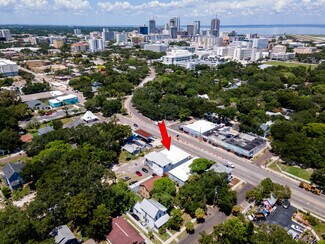 Plus de détails pour 923 Dr. Martin Luther King Jr St S, Saint Petersburg, FL - Local commercial à vendre