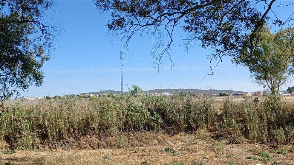 Paso Particular Oe, R5, Burguillos, Sevilla à vendre - Photo principale – Image 3 sur 10