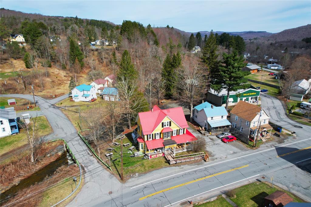 108 Main St, Livingston Manor, NY à vendre Aérien– Image 1 sur 49