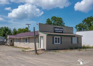 Plus de détails pour 10221 Telegraph Rd, Carleton, MI - Spécialisé à vendre