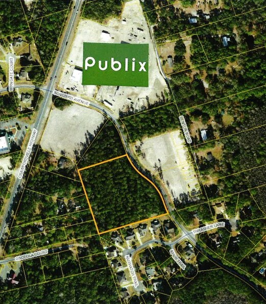 Songbird Avenue, Crawfordville, FL à vendre Aérien– Image 1 sur 2