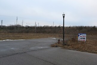 Plus de détails pour 9140 Regency Park Rd, Grand Blanc, MI - Terrain à vendre