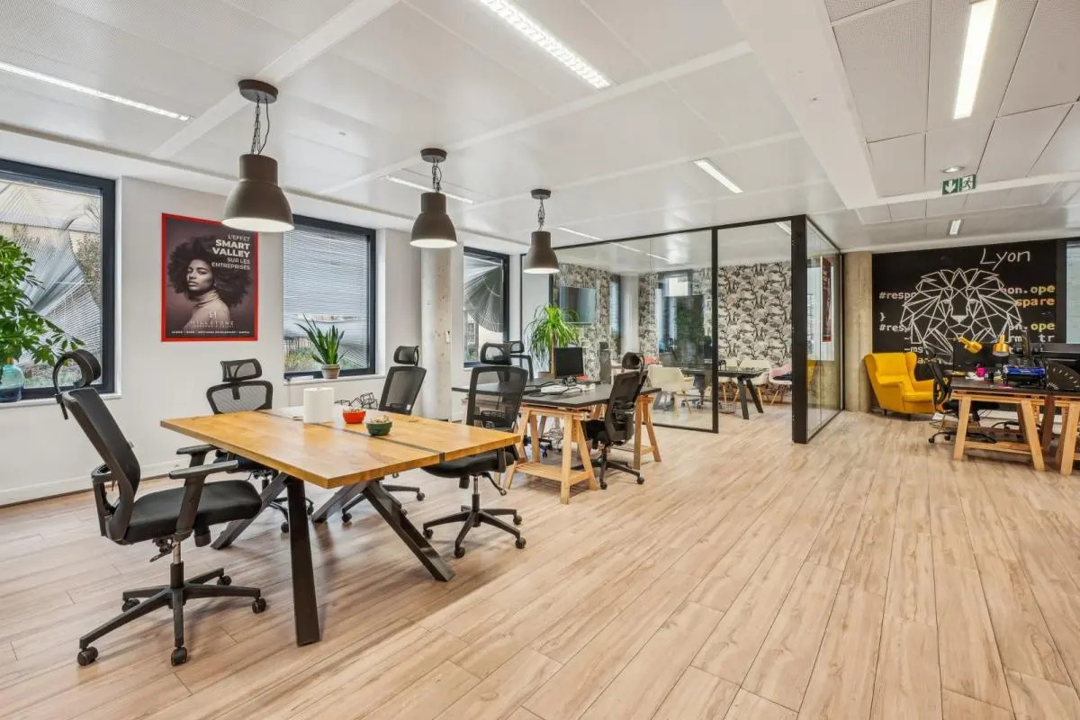 Bureau dans Lyon à louer Photo intérieure– Image 1 sur 15