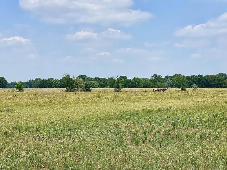 12053 S State Hwy 34, Scurry, TX à vendre - Photo principale – Image 1 sur 10