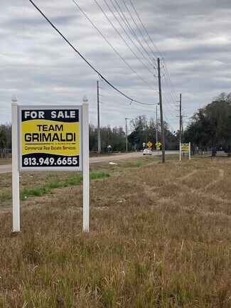 Plus de détails pour 2027 Gunn Hwy, Odessa, FL - Terrain à vendre