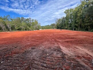 Plus de détails pour 133 Murray Lindler Rd, Chapin, SC - Terrain à vendre