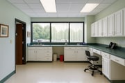 lab
