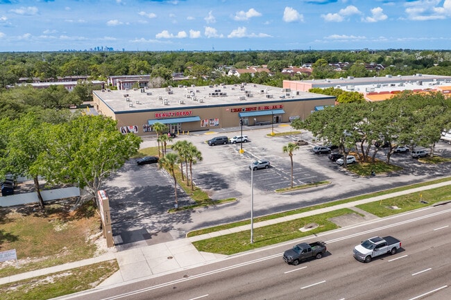 Plus de détails pour 1401 E Fowler Ave, Tampa, FL - Bureau, Local commercial à louer