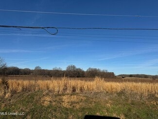 Plus de détails pour Old Highway 51 S, Hernando, MS - Terrain à vendre