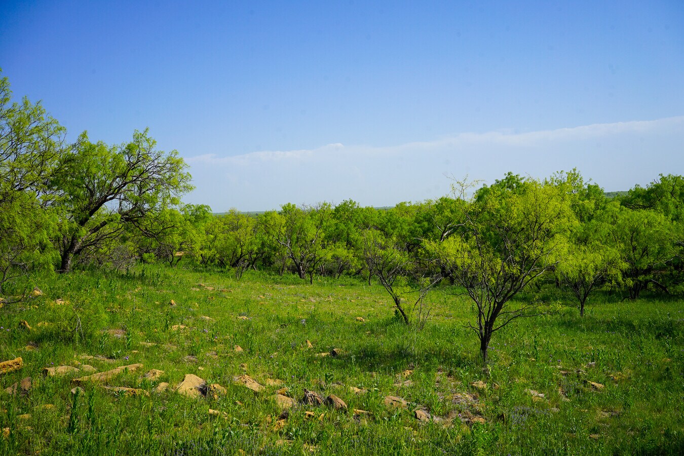 View Photo
