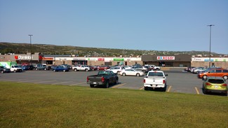 Plus de détails pour 120 Columbus Dr, Carbonear, NL - Local commercial à louer