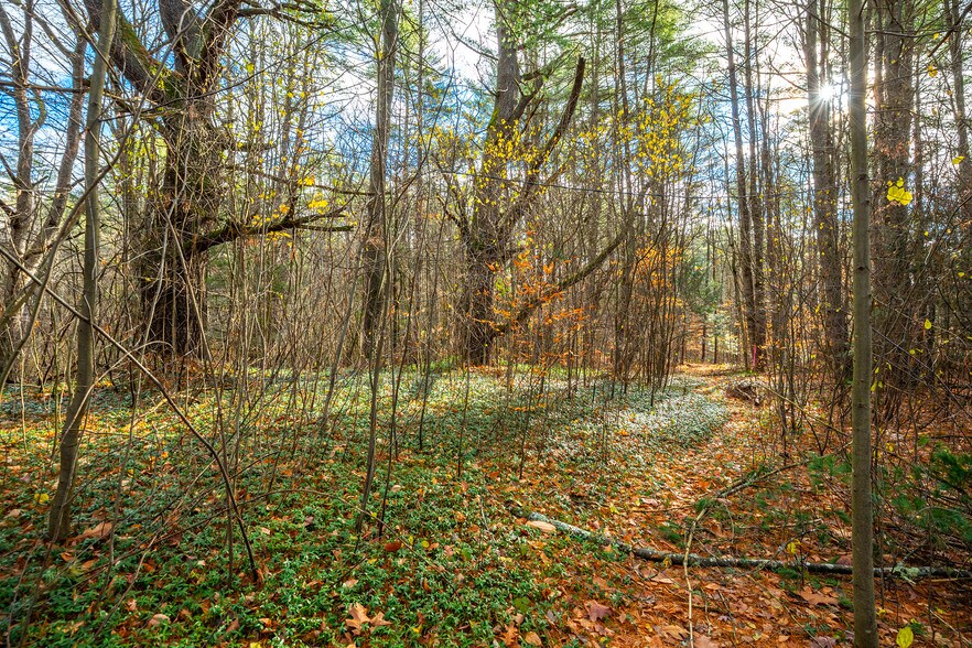 40 E Putney Brook Rd, Putney, VT à vendre - Photo intérieure – Image 3 sur 31