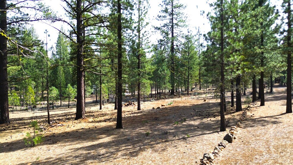 42451 Blue Heron cir, Old Station, CA à vendre - Photo principale – Image 1 sur 11