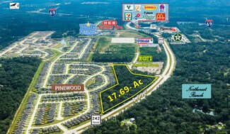 Plus de détails pour 17.693-Ac 242 hwy, New Caney, TX - Terrain à vendre