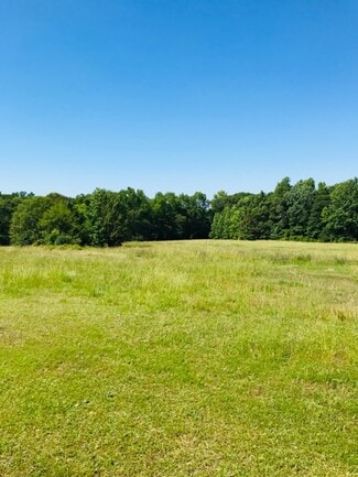 Plus de détails pour 4612 Highway 101, Woodruff, SC - Terrain à vendre