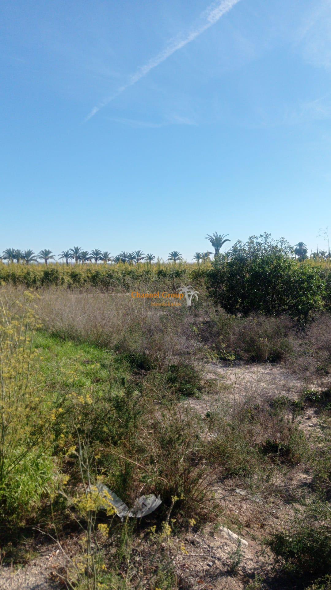 Terrain dans Elche, Alicante à vendre Aérien– Image 1 sur 5