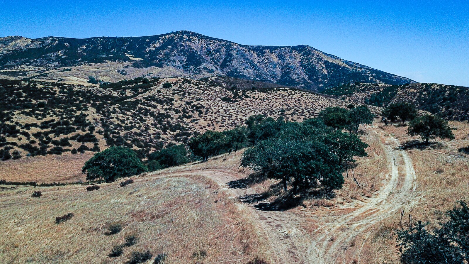 View Photo