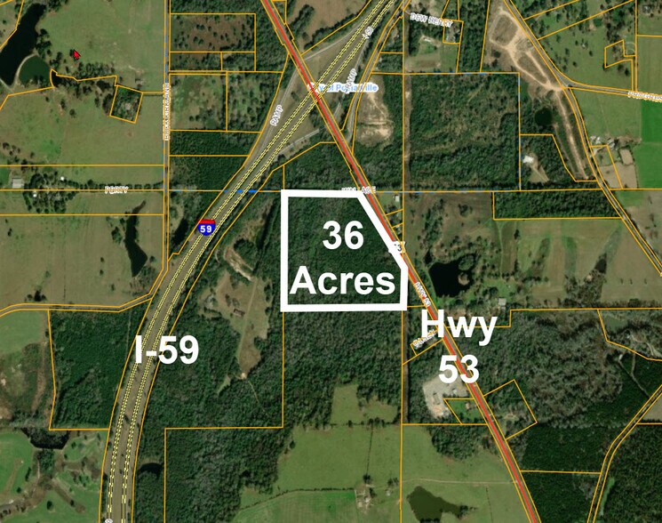 0 Highway 53, Poplarville, MS à vendre - Aérien – Image 1 sur 5